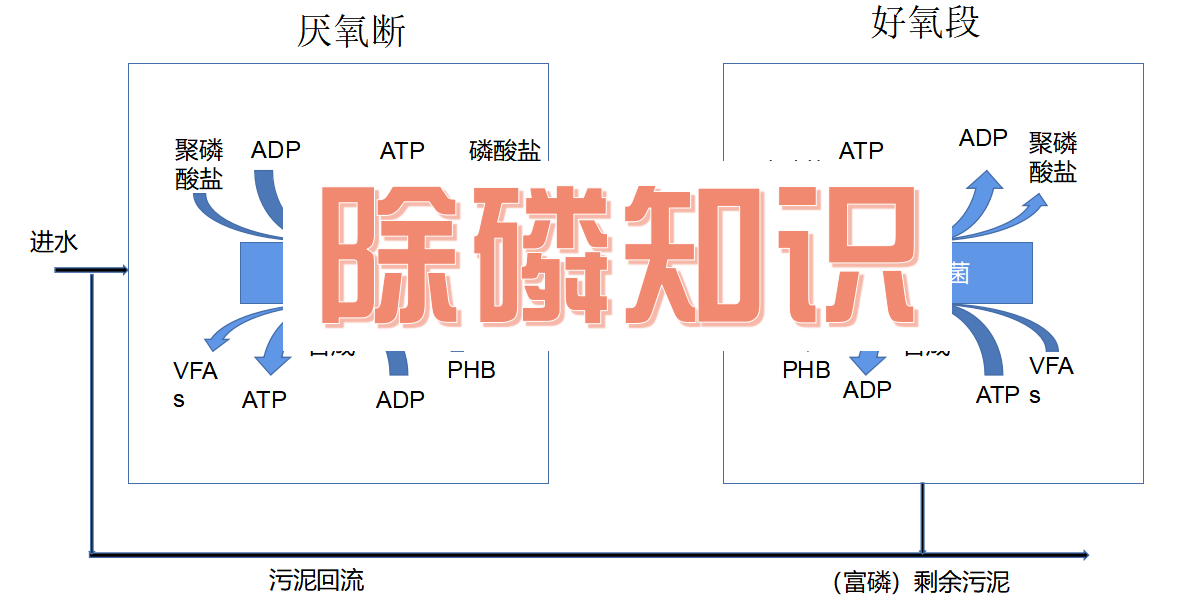除磷知識