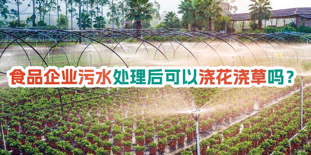 食品企業(yè)污水處理后可以澆花澆草嗎？