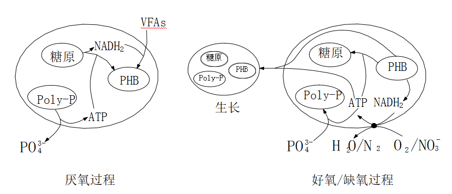 大張實(shí)業(yè)總磷去除